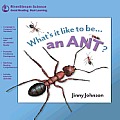 Whats It Like to Be an Ant