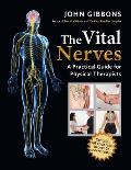 Vital Nerves A Practical Guide for Physical Therapists