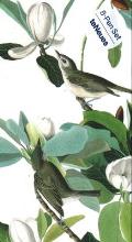 Warbling Flycatcher, James Audubon 8-Pen Set: Set of 8 Ball Point Pens in a Slim Case
