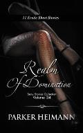 Realm of Domination: 11 Erotic Short Stories