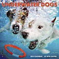 Underwater Dogs 2014 Calendar