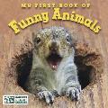 My First Book of Funny Animals National Wildlife Federation