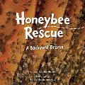 Honeybee Rescue: A Backyard Drama
