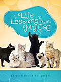 Life Lessons from My Cat Inspiration for Cat Lovers