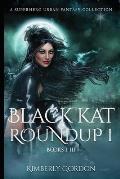Black Kat Roundup 1: A Superhero Urban Fantasy Collection