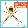 Garden Spiders