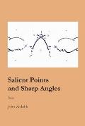 Salient Points and Sharp Angles