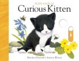Curious Kitten Slide & Play