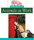 True Stories of Animals at Work