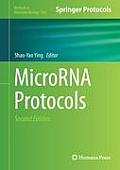 Microrna Protocols