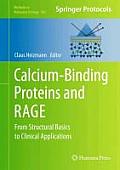 Calcium-Binding Proteins and Rage: From Structural Basics to Clinical Applications