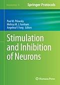 Stimulation and Inhibition of Neurons