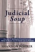 Judicial Soup