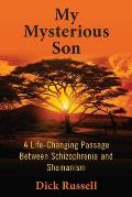 My Mysterious Son A Life Changing Passage Between Schizophrenia & Shamanism