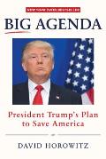 Big Agenda Trumps Real Plan to Save America