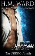 Life Before Damaged, Vol. 10 (The Ferro Family)