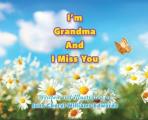 I'm Grandma And I Miss You