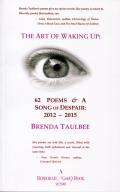 Art of Waking Up 62 Poems & A Song of Despair