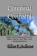 Cerebral Confetti: Poetry and Ponderings on Travels, Family, Sports, Loss, Faith, Love and Being Human