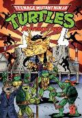 Teenage Mutant Ninja Turtles Adventures Volume 8