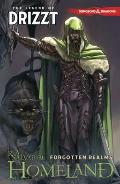 Dungeons & Dragons The Legend of Drizzt Volume 1 Homeland