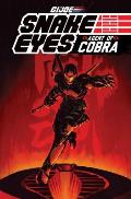 G I Joe Snake Eyes Agent of Cobra