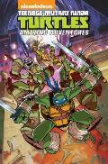 Teenage Mutant Ninja Turtles Amazing Adventures Volume 1