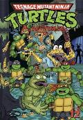 Teenage Mutant Ninja Turtles Adventures Volume 12