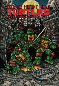 Teenage Mutant Ninja Turtles The Ultimate Collection Volume 1
