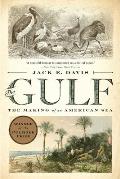 Gulf The Making of An American Sea