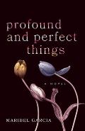 Profound & Perfect Things A Novel