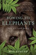 Bowing to Elephants Tales of a Travel Junkie