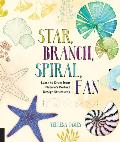 Star Branch Spiral Fan Learn to Draw from Natures Perfect Design Structures