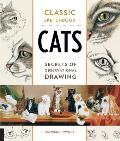 Cats Secrets of Observational Drawing