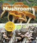 Beginners Guide to Mushrooms Everything You Need to Know from Foraging to Cultivating