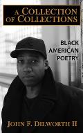 A Collection of Collections: Black American Poetry