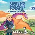 Sterling the Knight and Nugget the Dragon