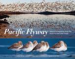 Pacific Flyway Waterbird Migration from the Arctic to Tierra del Fuego