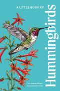 Little Book of Hummingbirds