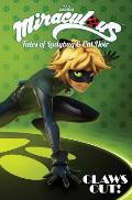 Miraculous Tales of Ladybug & Cat Noir Claws Out