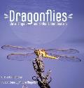 Dragonflies: Water Angels and Brilliant Bioindicators