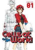Cells at Work 1