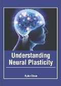 Understanding Neural Plasticity