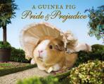 Guinea Pig Pride & Prejudice