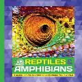 Reptiles & Amphibians A Close Up Photographic Look Inside Your World
