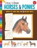 How to Draw Horses & Ponies Step By Step Instructions for 20 Different Breeds