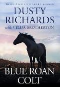 Blue Roan Colt