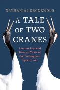 Tale of Two Cranes