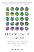 Steady Calm & Brave 25 Buddhist Practices of Resilience & Wisdom in a Crisis