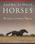 Americas Wild Horses The History of Western Mustangs
